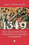 1349 Hoe De Zwarte Dood Vlaanderen En Europa Veranderde