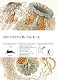 Art Forms In Nature Gift Creative Paper Book Vol 83