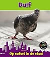 Duif