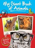 Amazon cover image