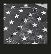 America in Black & White: Selected Photographs of John G. Zimmerman