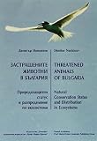 Amazon изображение на корицата
