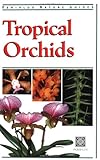 Tropical Orchids Of Southeast Asia