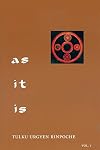 As It Is, Vol. 1