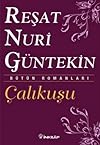 Çalıkuşu: Roman (Reşat Nuri Güntekin dizisi) (Turkish Edition)