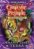 Amazon cover image