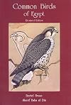 Common Birds of Egypt
