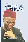 The Accidental Public Servant
