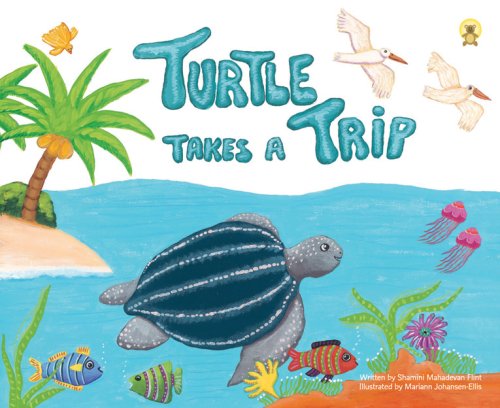 Turtle Takes a Trip book cover