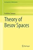 Theory Of Besov Spaces
