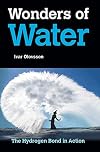 Wonders of Water: The Hydrogen Bond in Action