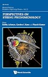 Perspectives on string phenomenology