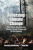 Reversing Climate Change How Carbon Removals Can Resolve Climate Change And Fix The Economy