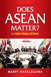 Does ASEAN Matter?: A View from Within