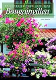 Brighten Up Your Life With Bougainvillea