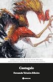 Imagem de capa da Amazon