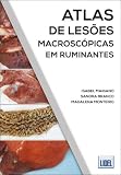 Imagem de capa da Amazon