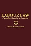 Labour law principles & practice in Cameroon
