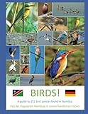 Birds A Guide To 252 Birds Found In Namibia