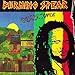 Song The Force by Burning Spear on Resistance at Amazon