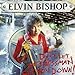Song Fannie Mae by Elvin Bishop on Don't Let the Bossman Get You Down! at Amazon