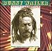 Song Conscious Lyrics by Bunny Wailer on Retrospective at Amazon
