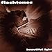 Song Not Everybody's Jesus by The Fleshtones on Beautiful Light at Amazon