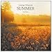 Song Lullaby by George Winston on Summer at Amazon