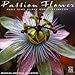 Song Bojangles by Zoot Sims on Passion Flower: Zoot Sims Plays Duke Ellington at Amazon