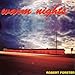 Song Fortress by Robert Forster on Warm Nights at Amazon