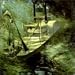Song The Old Fat Robin by Lambchop on Thriller at Amazon