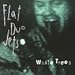 Song Rabbit Foot Blues by Flat Duo Jets on White Trees at Amazon