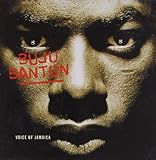 album / discography