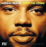 After The Storm (1994)