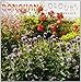 Song To Susan on the West Coast Waiting by Donovan on Colours at Amazon