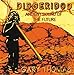 Song Fulfillment by Gary Thomas on Didgeridoo: Ancient Sound of the Future at Amazon