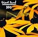 Song BBQ Suite: World Stands Still/Good &amp; Gone/I Wish You Love/Romance Of Falling/Seashells by Giant Sand on Backyard Barbecue Broadcast at Amazon