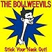Song Icon by The Bollweevils on The Stick Your Neck Out at Amazon