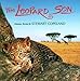 Song Familiar World by Stewart Copeland on Leopard Son at Amazon