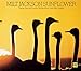 Song Sunflower by Milt Jackson on Sunflower at Amazon