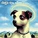 Song The Shallows by Dog's Eye View on Daisy at Amazon