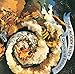 Song And The Tide Rushes In by The Moody Blues on Question of Balance at Amazon