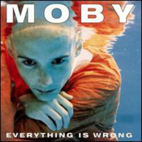 Everything Is Wrong