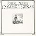 Song Forbidden Jimmy by John Prine on Common Sense at Amazon