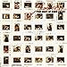 Song The Great Compromise by John Prine on Prime Prine: The Best of John Prine at Amazon