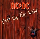 Fly on the Wall