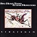 Song Neckbreaker by Big Head Todd and the Monsters on Strategem at Amazon