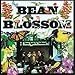 Song Feudin' Banjos by Bill Monroe on Bean Blossom at Amazon