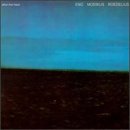 After The Heat [With Roedelius, Dieter Moebius] (1978)