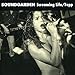 Song Hunted Down by Soundgarden on Screaming Life/Fopp at Amazon